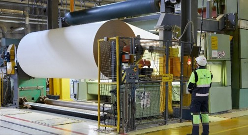 НПАО «Светогорский ЦБК»