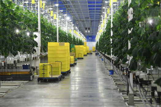 АО Агрофирма «Выборжец»